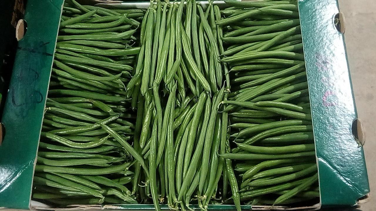 haricot vert